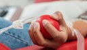 Câmara aprova lei que fomenta a doação de sangue 