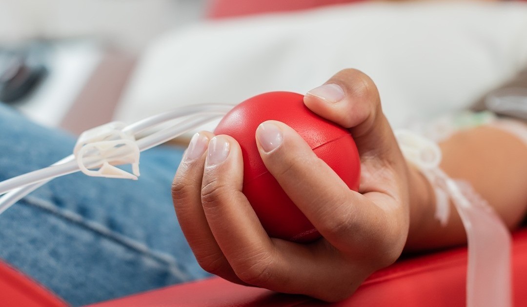 Câmara aprova lei que fomenta a doação de sangue 