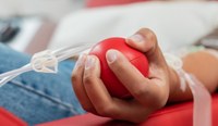 Câmara aprova lei que fomenta a doação de sangue 
