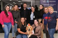 Lei garante cães terapeutas em ambientes de saúde 